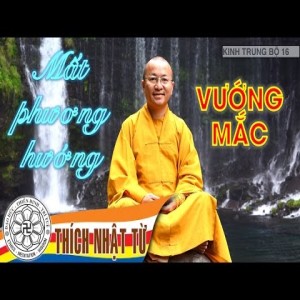 Kinh Trung Bộ 16 (Kinh Tâm Hoang Vu) - Mất phương hướng và vướng mắc (4/9/2005)