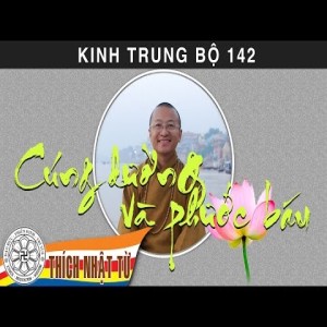 Kinh Trung Bộ 142 (Kinh Phân Biệt Cúng Dường) - Cúng dường và phước báu (20/09/2009)