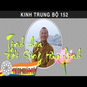 Kinh Trung Bộ 152 (Kinh Căn Tu Tập) - Tinh hoa đời sống tâm linh (29/11/2009)