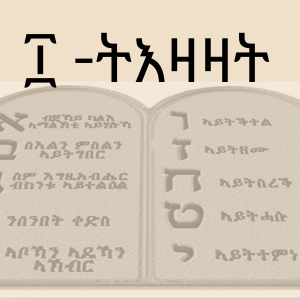 15. ካልአይቲ ትእዛዝ 2ይቲ ክፋል