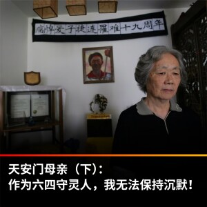 天安门母亲(下）：作为六四守灵人，我无法保持沉默！【王局拍案播客】