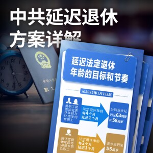 中共延迟退休方案详解【王局拍案播客】