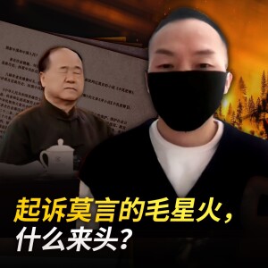 起诉莫言的毛星火，什么来头？【王局拍案播客】