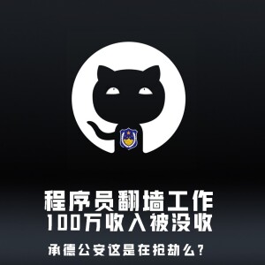 程序员翻墙工作100万收入被没收，承德公安这是在抢劫么【王局拍案播客】