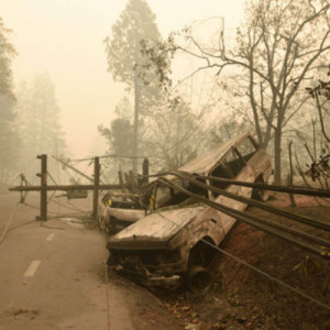Episode 11: Marvin Pratt | Paradise and the anatomy of a disaster: After the flames have died.
