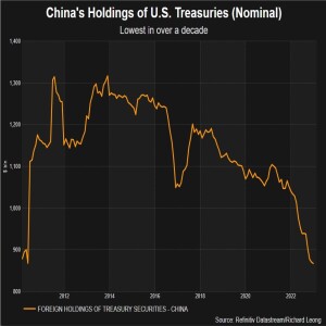 China Dumping US Bonds But Hurting Itself?? #350