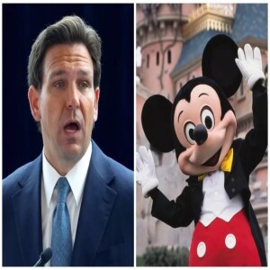 Disney World Uses Royal Clause and Legally Humiliates Florida’s Government for “Don’t Say Gay Bill” Court Battle… #193