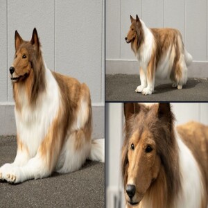 Japanese Man Pays Almost $16,000 For Realistic Dog Suit… #317