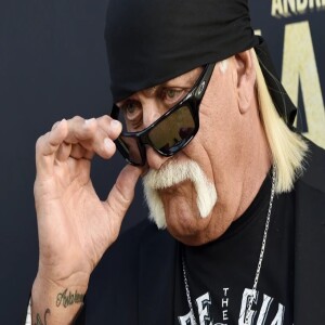 Controversial Celebrity Hulk Hogan Saves A Woman After A Car Crash?? #486