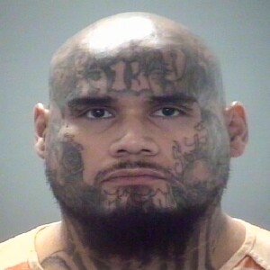 Florida Man & MS-13 Member Does Something Demonic… #220