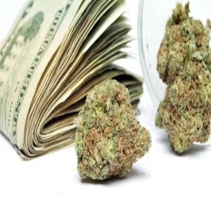 State of Colorado Making Big Money Off of Marijuana Sales Tax!! #176