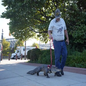 Meet Wally, The Famous Emotional Support Alligator… #459