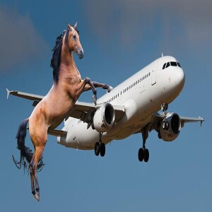 Horse Gets Loose On Cargo Jet Plane & Causes Chaos!! #449