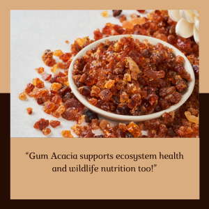 Things You did't Know about Gum Acacia