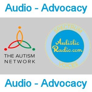 Audio Advocacy Model - Safe Spaces - for The Professionals and Autistics - 2023 07 16