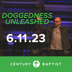 Doggedness Unleashed | 6.11.23