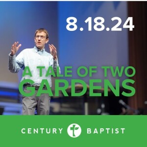 A Tale of Two Gardens | 8.18.24