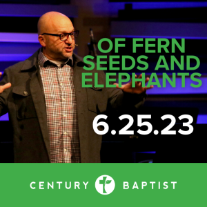 Of Fern Seeds and Elephants | 6.25.23