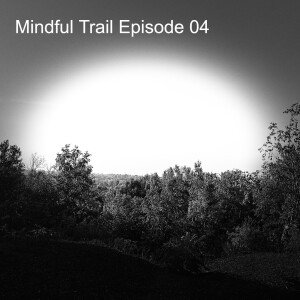533. Explore Meditation Through Native American Creation Stories