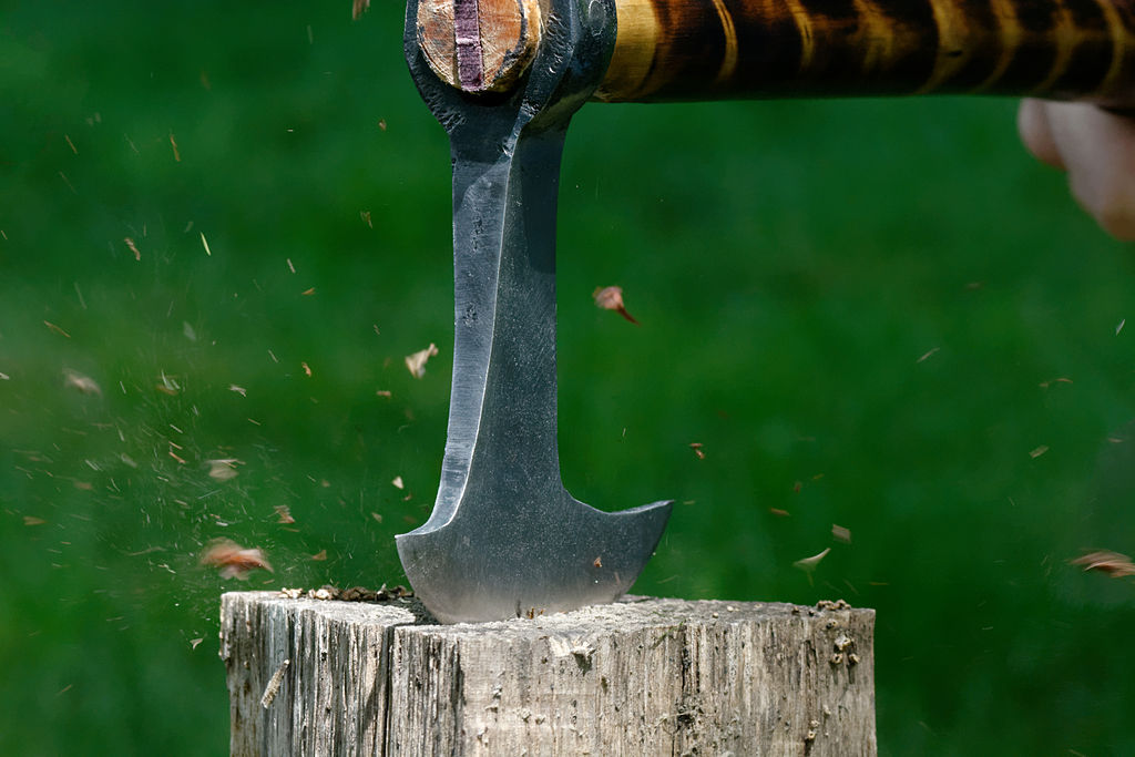 The Hatchet by Gary Paulsen