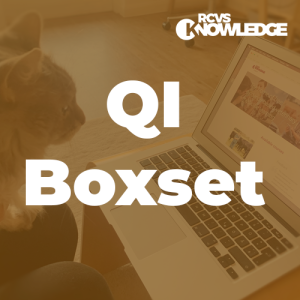 QI Boxset: Clients' view of QI. Caroline Freedman & Pam Mosedale