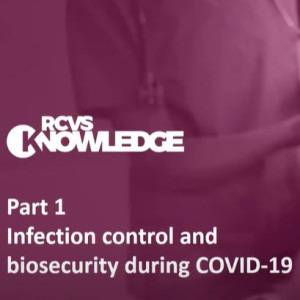 Infection control and biosecurity during COVID-19: Pam Mosedale, Alan Radford, Tim Nuttall