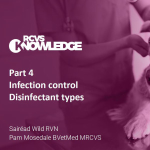 Infection control Part 4: Disinfectant types - Sairéad Wild and Pam Mosedale