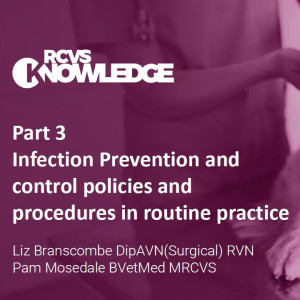 Infection control Part 3: infection prevention, and control policies and procedures in routine practice - Liz Branscombe and Pam Mosedale