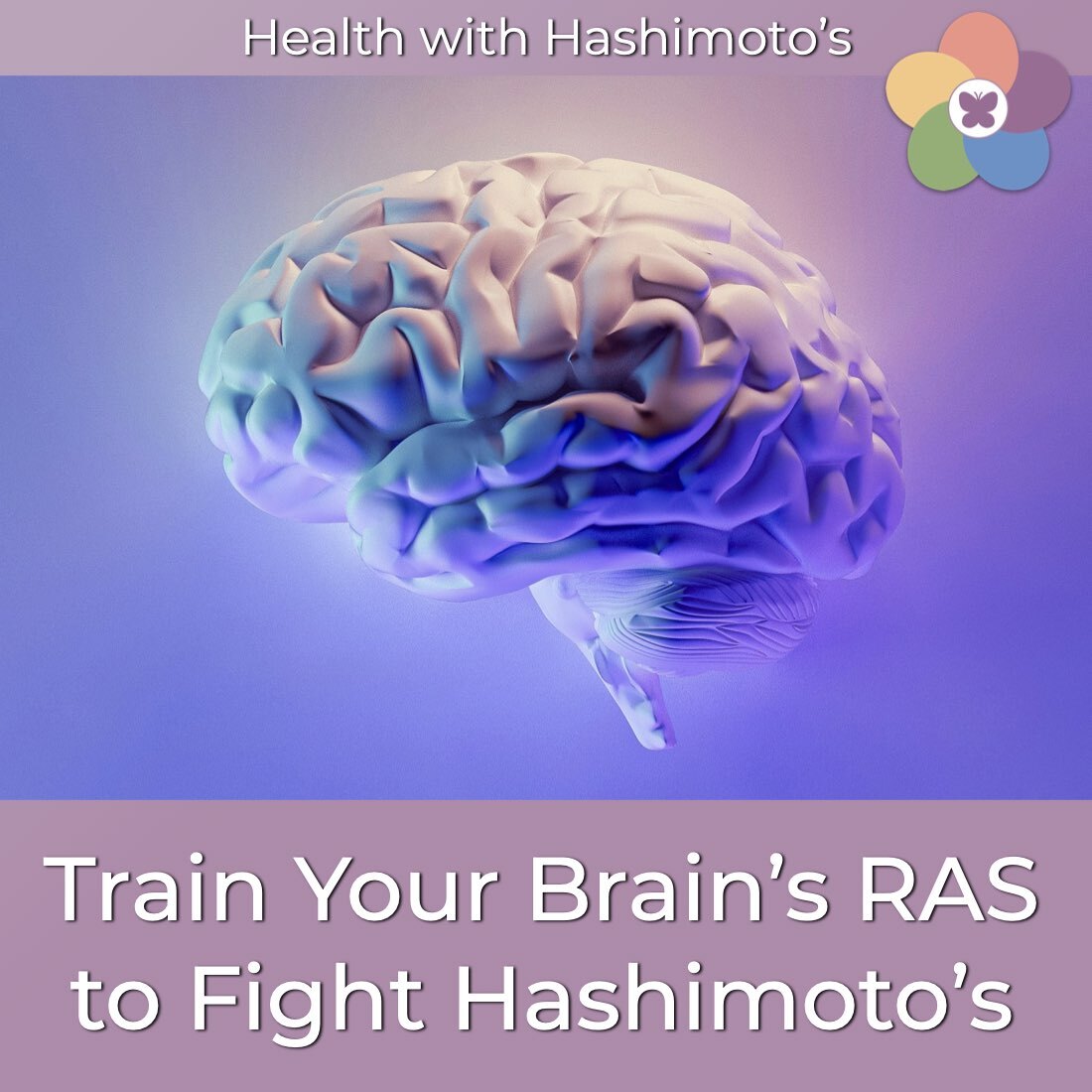 Health with Hashimoto’s - Autoimmune Disease, Hypothyroid, Thyroid Problems, Woman’s Health