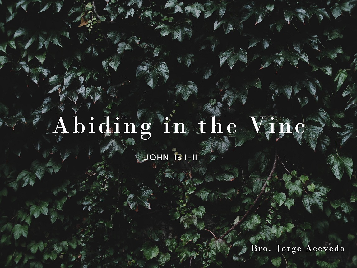 Brother Jorge Acevedo- Abiding In the Vine