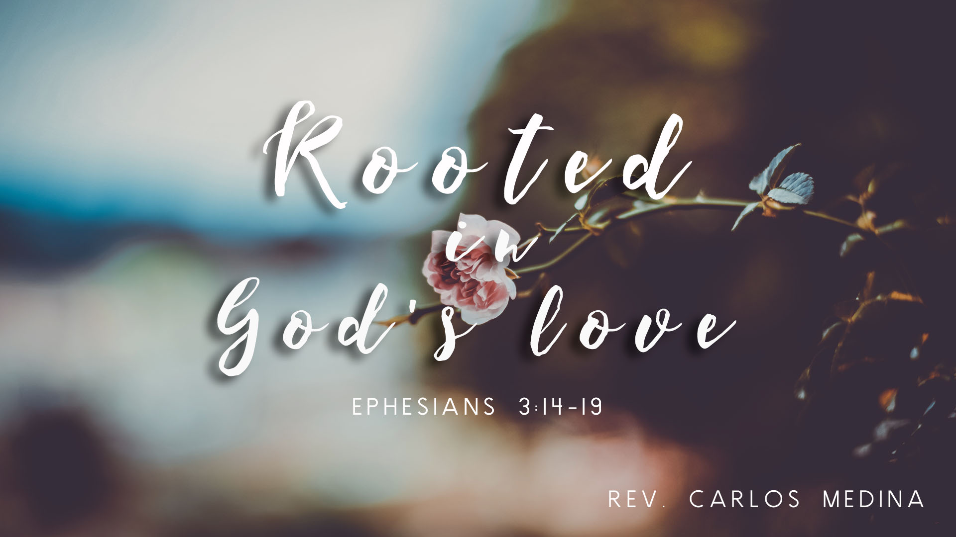 Rooted in God's Love