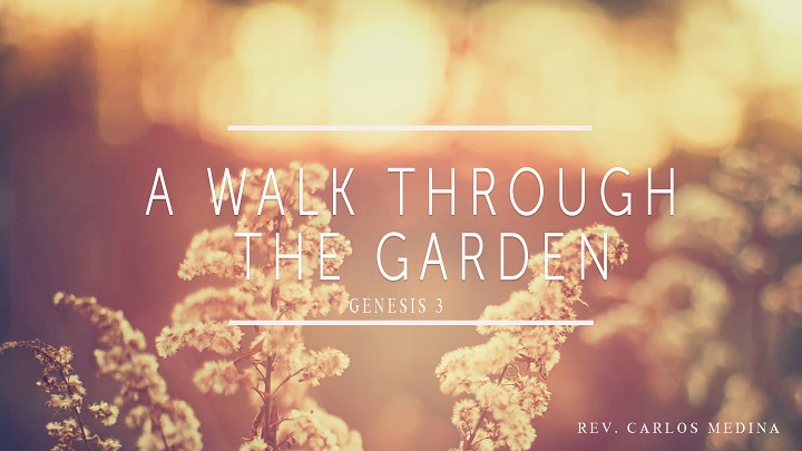 Pastor Carlos Medina - A Walk Through The Garden