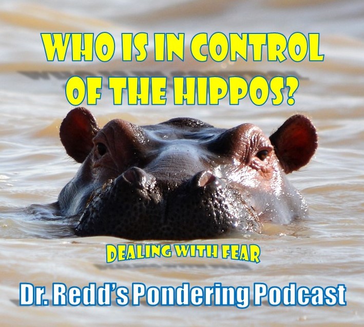 Who Is In Charge of the Hippos?   (Dealing with Fear)