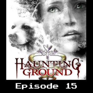 Retro Wildlands #15 - Haunting Ground