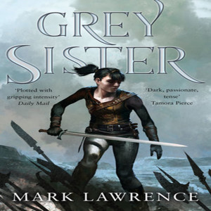 Grey Sister (Book of the Ancestor #2)