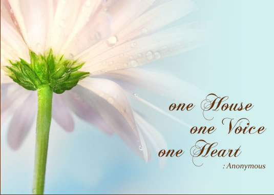 Scottsdale Naturopathic Doctors
