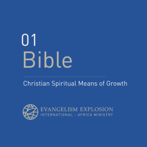 Bible - Means of Growth