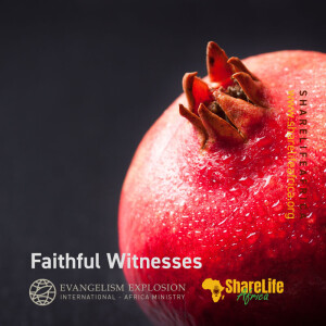 Faithful Witnesses