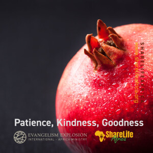 Patience, Kindness, Goodness