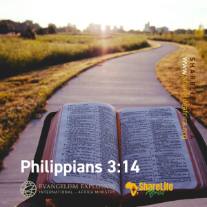 Philippians 3:14 (Memory Scripture)