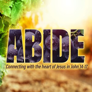 Abide