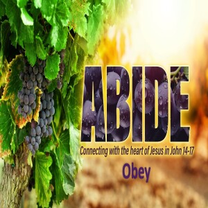 Obey - John 14:12-24