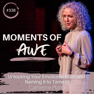 Episode 338: MOA - Unlocking Your Emotional Brain and Naming it to Tame it