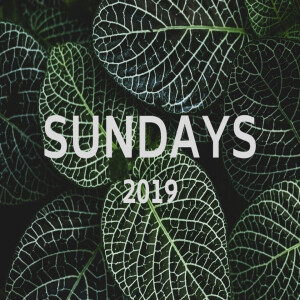 Apostolic Sunday