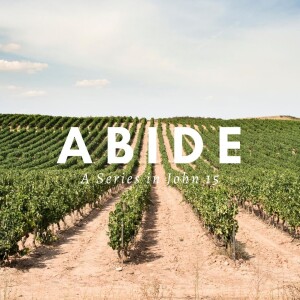 Abide in Jesus