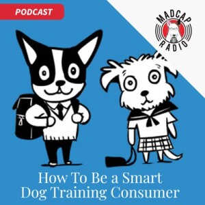 Interview With Jean Donaldson: How To Be a Smart Dog Training Consumer