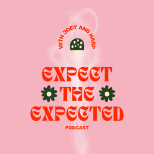 Welcome To The Sh*t Show - Expect The Expected - Episode 1