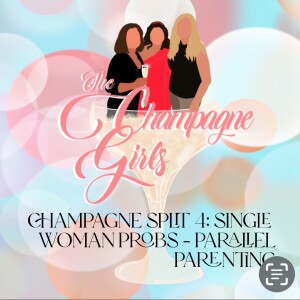 Champagne Split 4: Single Woman Probs - Parallel Parenting