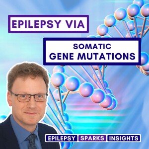 Epilepsy Via Somatic Gene Mutations - Karl Martin Klein