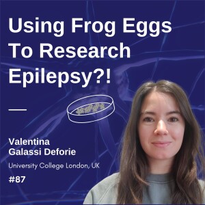 Using Frog Eggs To Research Epilepsy?! - Valentina Galassi Deforie